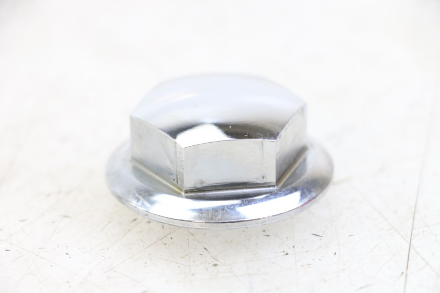 photo de VORKDOP ROYAL ENFIELD HYMALAYAN 410 (2016 - 2023) - Zoom op gebruiksstaat