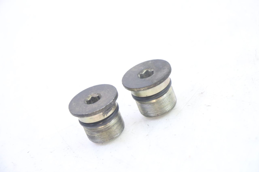 photo de VORKDOP PIAGGIO X9 EVOLUTION 125 (2003 - 2007) - Hoofdaanzicht