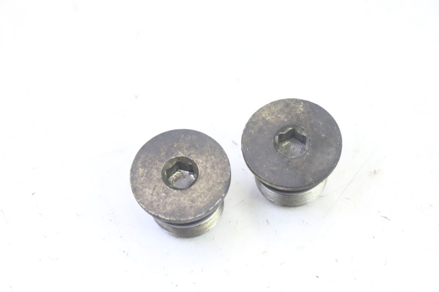 photo de VORKDOP PIAGGIO X9 EVOLUTION 125 (2003 - 2007) - Detail van het onderdeel