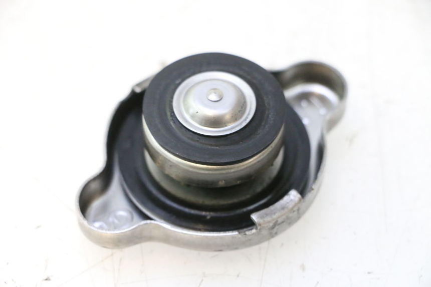 photo de RADIATEURKAP SUZUKI BURGMAN EXECUTIVE ABS 650 (2006 - 2012) - Detail van het onderdeel