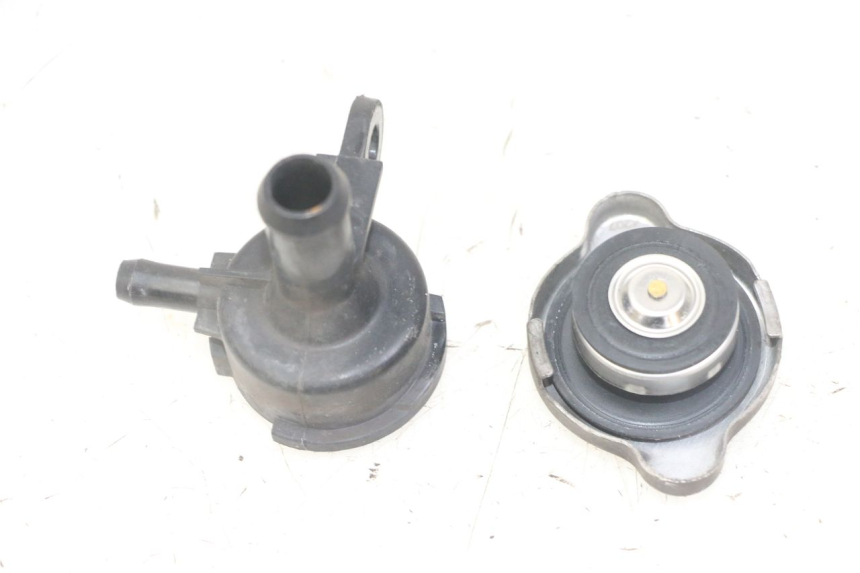 photo de RADIATEURDOP HONDA FORZA ABS 300 (2013 - 2017) - Andere kijkhoek