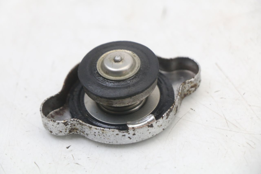 photo de RADIATEURDOP REGAL RAPTOR SPYDER 125 (2010 - 2018) - Andere kijkhoek