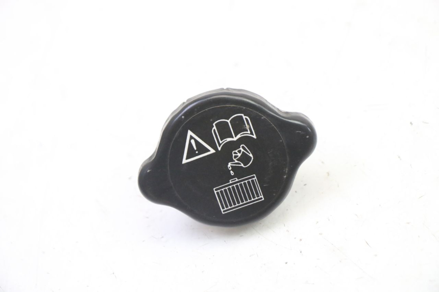 photo de RADIATEURDOP TRIUMPH SPRINT 900 (1995 - 1998) - Hoofdaanzicht