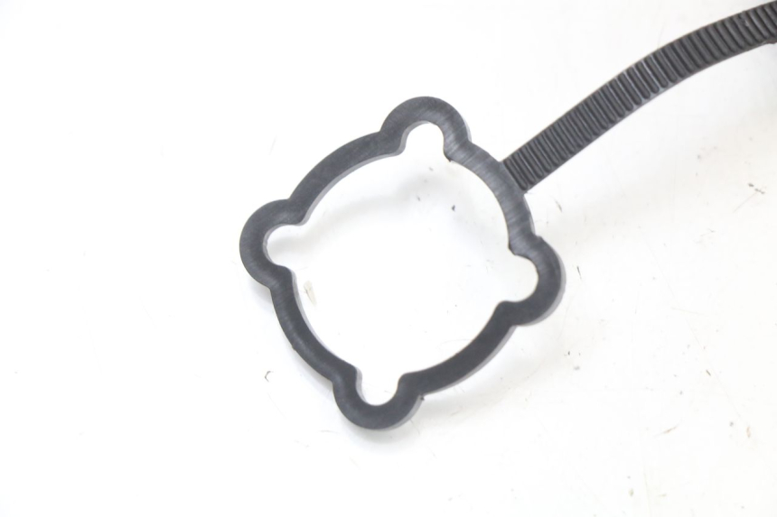 photo de DOP EXPANSIEVAT MASAI SCRAMBLER SPORT 125 (2021 - 2025) - Technische close-up