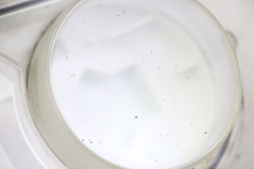 photo de TELLERKAPJE PEUGEOT SATELIS 250 (2006 - 2012) - Detail van het onderdeel