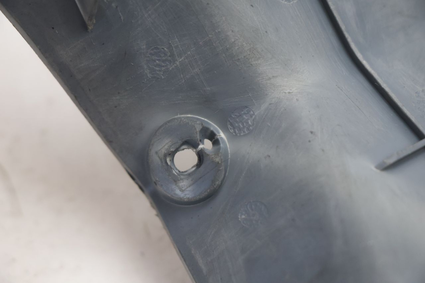 photo de ACCUBESCHERMING PEUGEOT LUDIX ONE 50 (2004 - 2006) - Overzicht