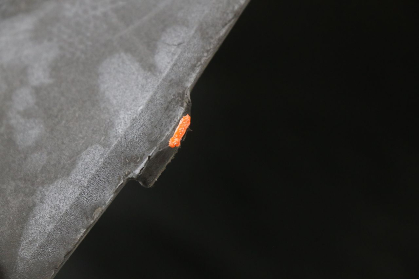 photo de ZITPLAATDEKSEL KYMCO AGILITY CARRY 50 (2011 - 2020) - Bevestigingspunten