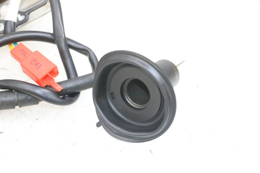 photo de VERGASER TNT MOTOR ROMA 10' 4T 50 (2019 - 2022) - Focus op structuur