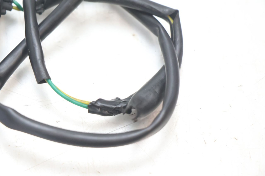 photo de VERGASER PEUGEOT SPEEDFIGHT 2 AC 50 (2000 - 2009) - Detailaanzicht