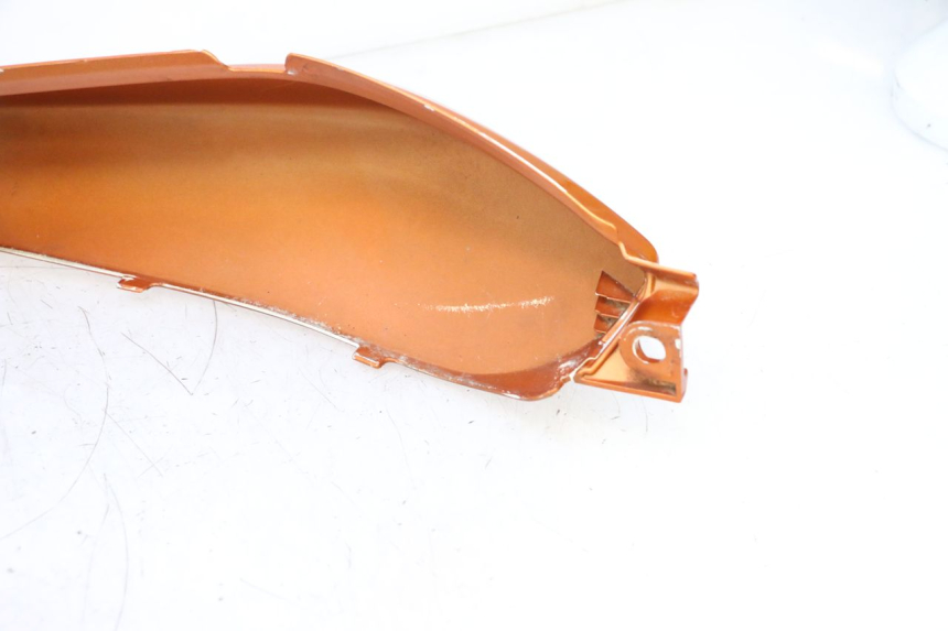 photo de ACHTERKAP HONDA CB F HORNET 600 (2005 - 2006) - Kenmerkende details
