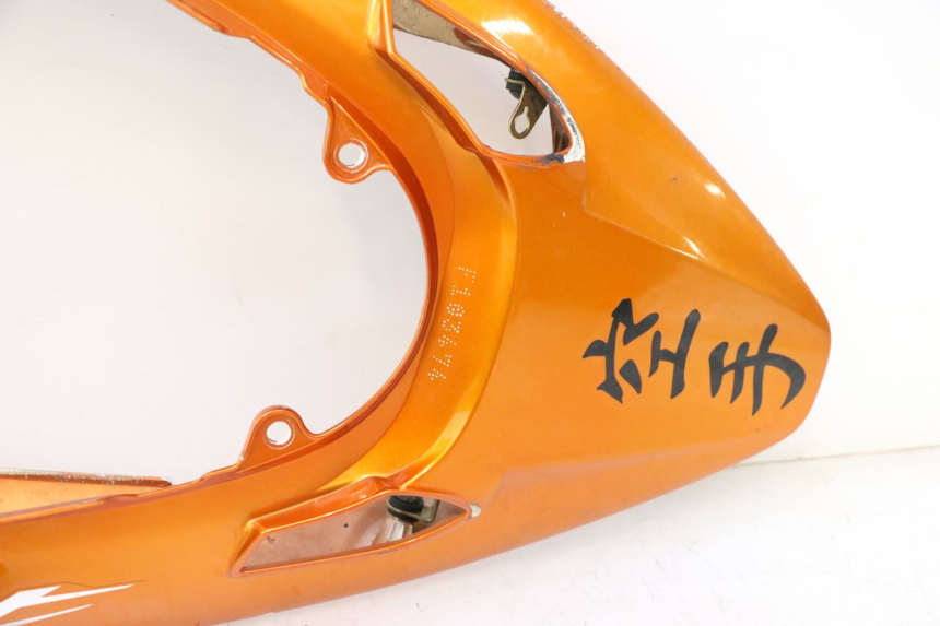 photo de ACHTERKAP HONDA CB F HORNET 600 (2005 - 2006) - Profielaanzicht