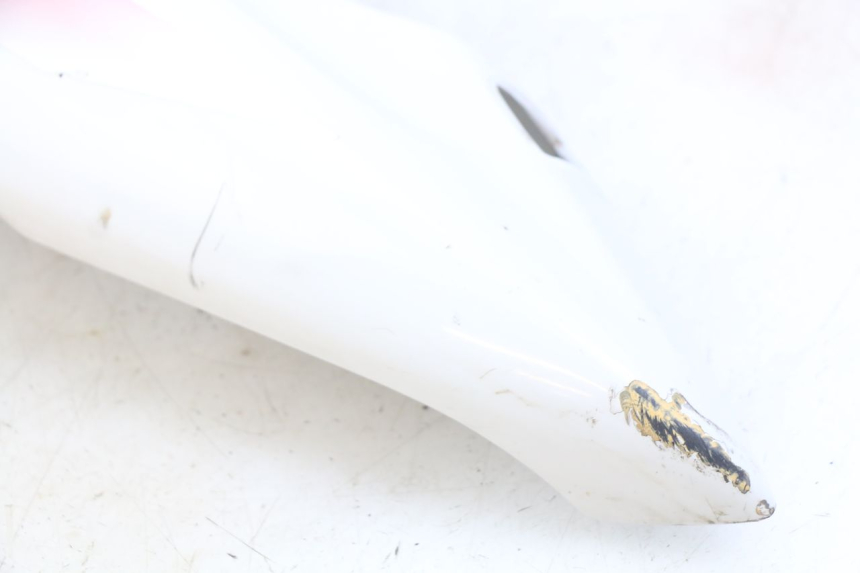 photo de ACHTERKAP YAMAHA YZF R THUNDERCAT 600 (1996 - 2003) - Markeringen en referenties