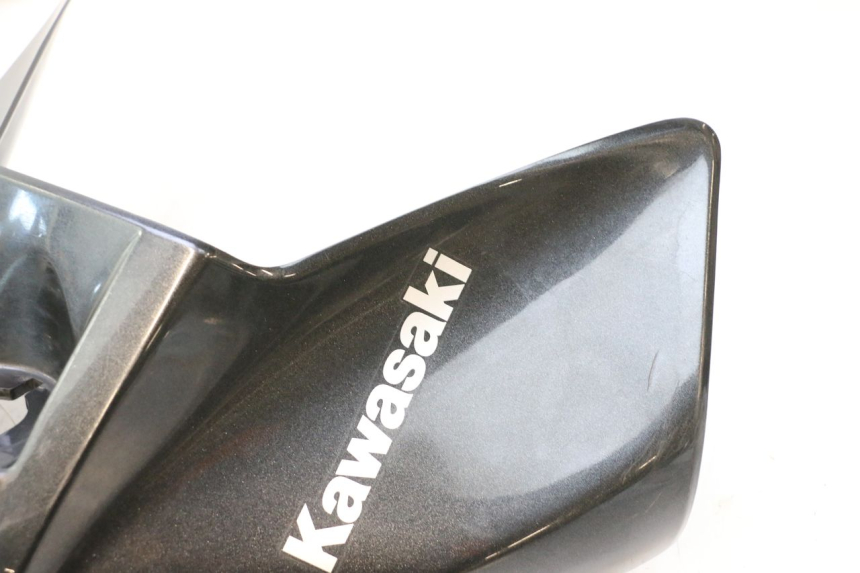 photo de TANKKUIP KAWASAKI ER-6 ER6 F ABS 650 (2012 - 2016) - Andere kijkhoek