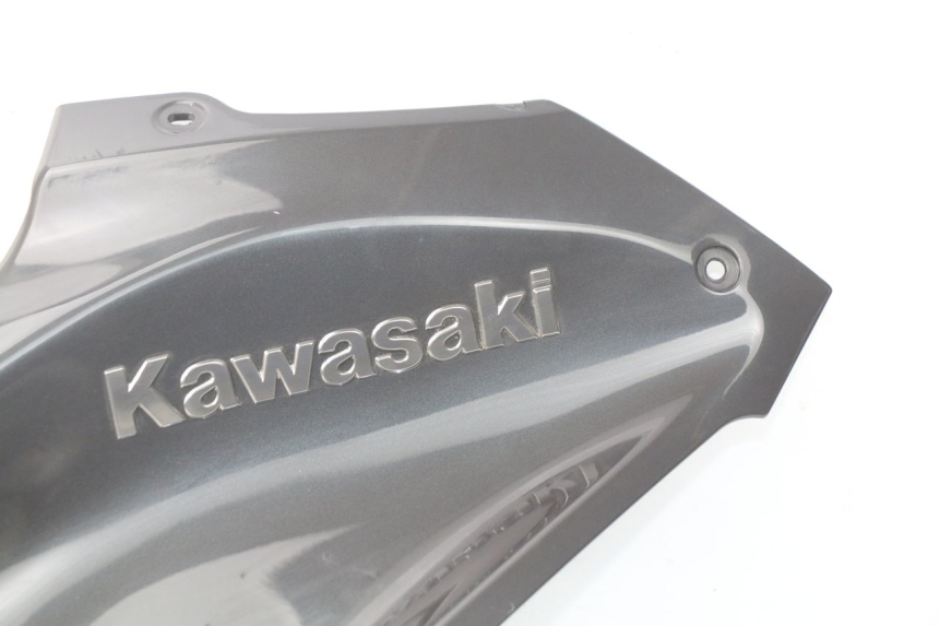 photo de TANKKUIP KAWASAKI Z Z900 900 (2017 - 2019) - Profielaanzicht