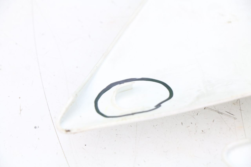 photo de VOLLEDIGE BEHUIZINGSET KAWASAKI KLX 110 (2010 - 2022) - Profielaanzicht