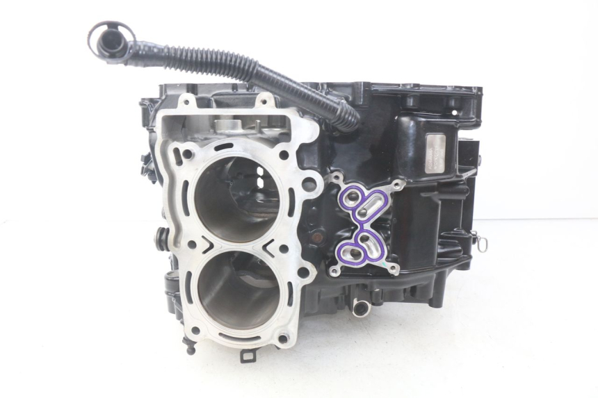 photo de ONDERKANT MOTORBLOK BMW F GS K81 850 (2018 - 2023) - Zoom op gebruiksstaat