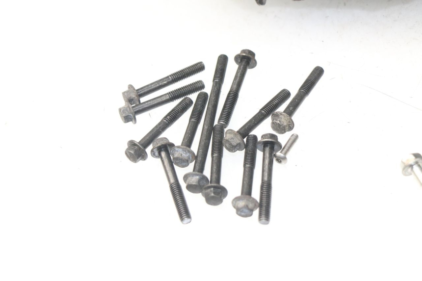 photo de ONDERKANT MOTORBLOK HONDA NSS EX FORZA 250 (2005 - 2013) - Focus op structuur