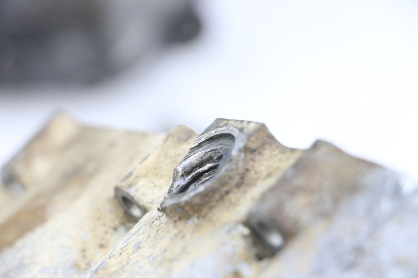 photo de ONDERKANT MOTORBLOK HONDA TRX 300 (1988 - 2000) - Detailaanzicht