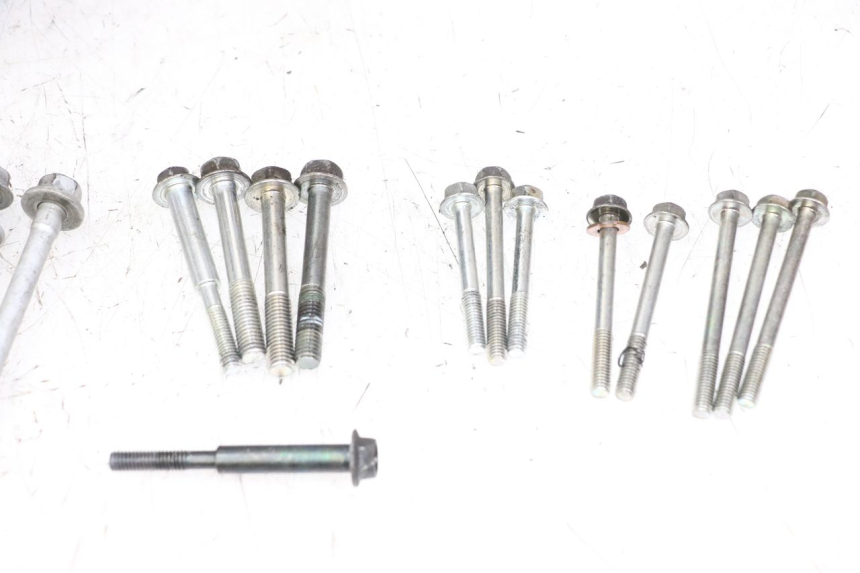 photo de ONDERKANT MOTORBLOK YAMAHA FZ1 FAZER 1000 (2007 - 2009) - Bevestigingspunten