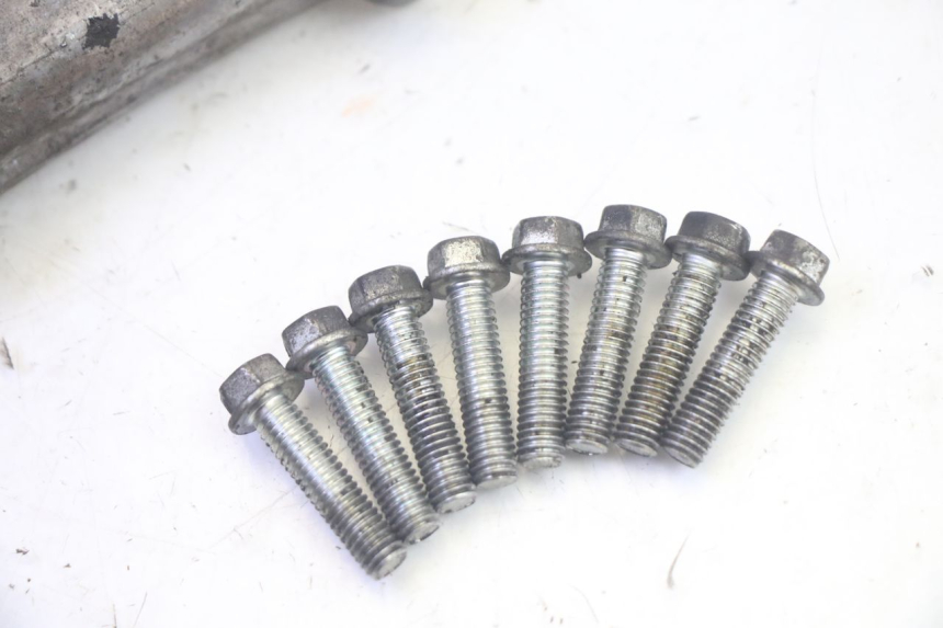 photo de BEHUIZING VOOR VRIJLOOPWIEL SUZUKI BURGMAN EXECUTIVE ABS 650 (2006 - 2012) - Technische close-up