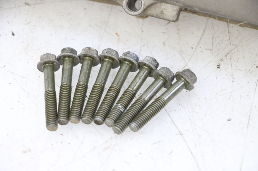 photo de VARIATORKAP PGO RODOSHOW 2T 50 (2003 - 2007) - Staat van het oppervlak