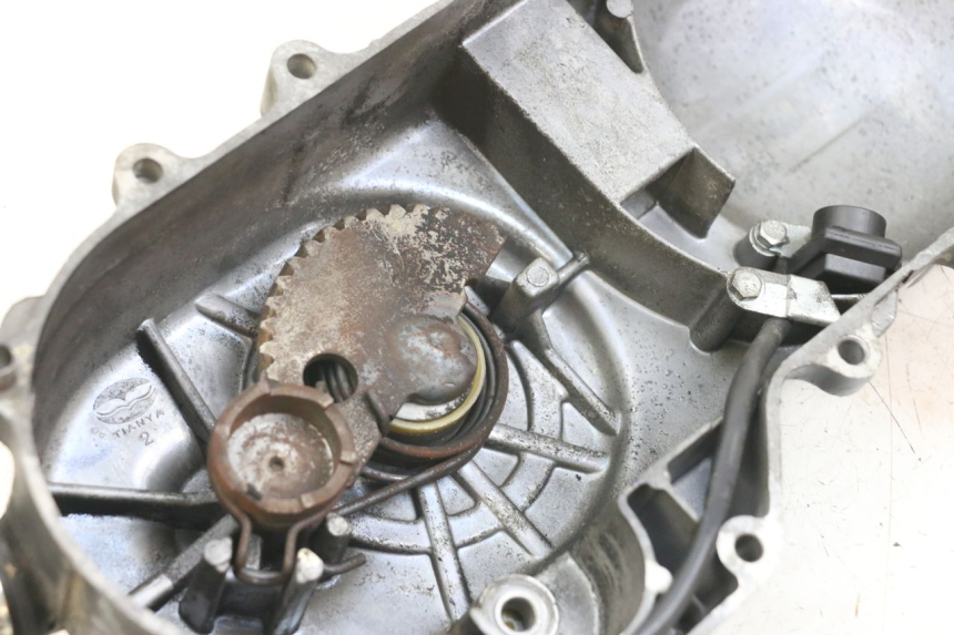 photo de VARIATORDOP TNT MOTOR ROMA 10' 4T 50 (2007 - 2018) - Technische close-up