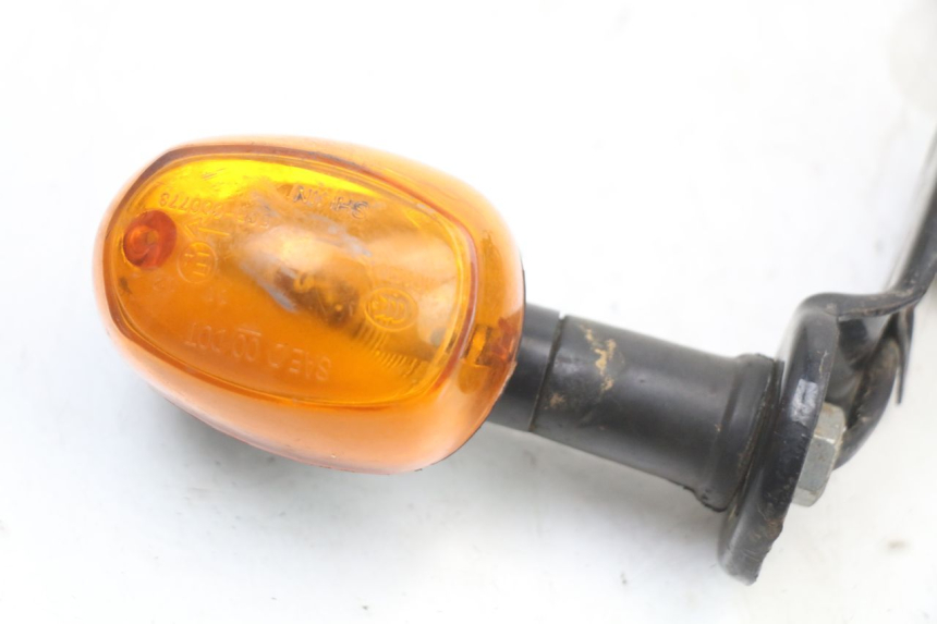 photo de ACHTERLINKS KNIPPERLICHT REGAL RAPTOR SPYDER 125 (2010 - 2018) - Zoom op gebruiksstaat