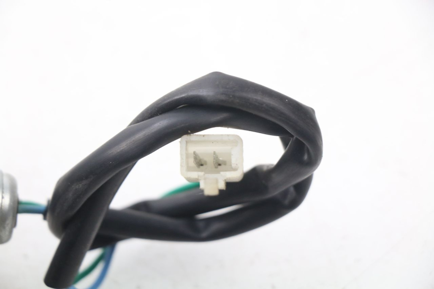 photo de VOORSTE RECHTER KNIPPERLICHT ERIDER CARGO 1 (2009 - 2018) - Zoom op gebruiksstaat