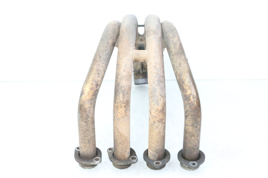 photo de VERZAMELAAR YAMAHA FZ6 FAZER S2 600 (2007 - 2011) - Productaanzicht