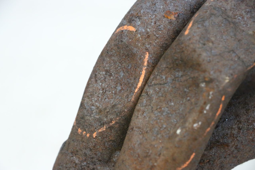 photo de VERZAMELAAR KAWASAKI GPZ RX 1000 (1986 - 1988) - Kenmerkende details