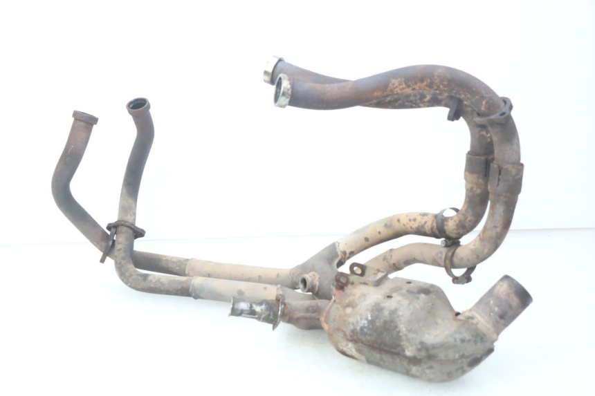 photo de VERZAMELAAR HONDA VFR FI RC46 800 (1998 - 2001) - Focus op structuur