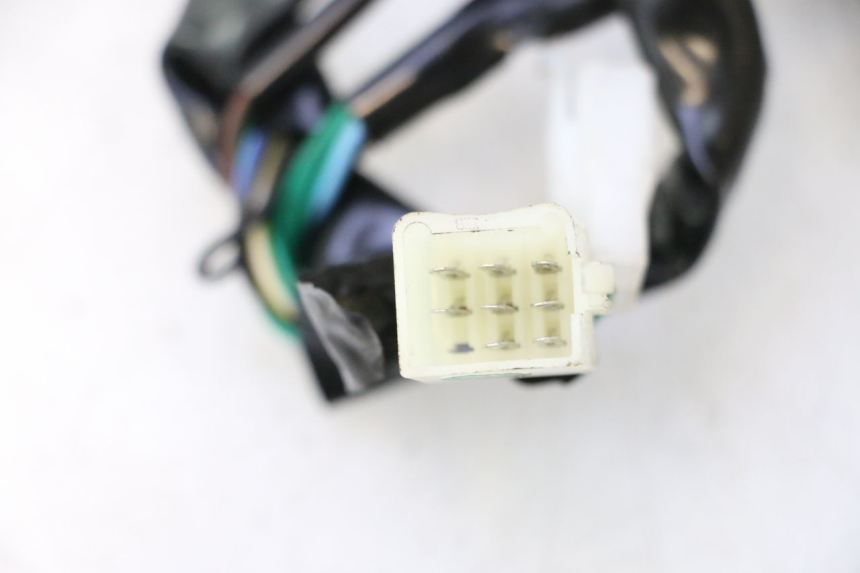 photo de TELWERK JM MOTORS OLDIES 4T 50 (2020 - 2026) - Kenmerkende details