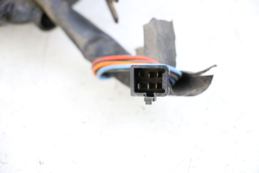 photo de TELLERSTAND DOLPHIN PYGMY 1 (2020 - 2024) - Gecontroleerd onderdeel