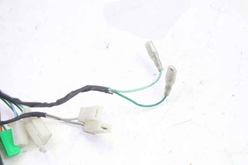 photo de TELLERSTANDMETER PEUGEOT TWEET PRO EFI 4T 50 (2021 - 2022) - Kenmerkende details