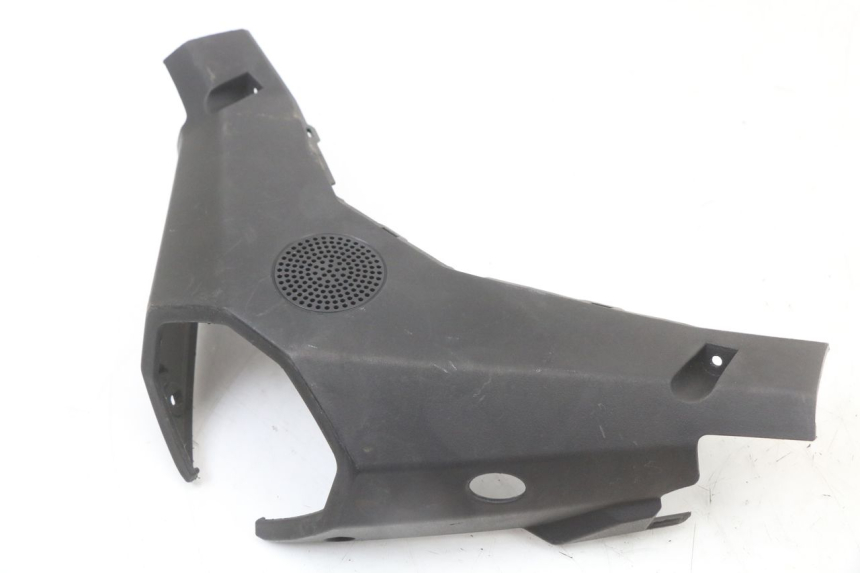 photo de ACHTERSTUURKAP LONGJIA EASY MAX 125 (2020 - 2024) - Andere kijkhoek