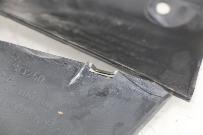 photo de ACHTERSTUURKAP DAELIM S2 FI 125 (2008 - 2017) - Overzicht