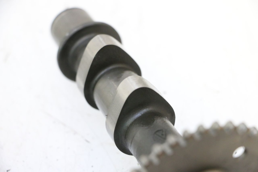 photo de ACHTERKOP SUZUKI SV S 650 (1999 - 2002) - Detailaanzicht