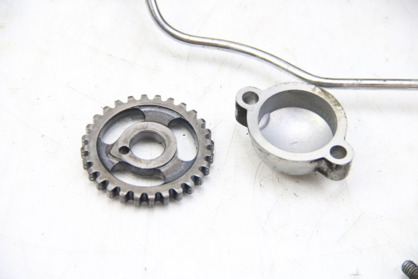 photo de ACHTERKOP YAMAHA XV VIRAGO 750 (1984 - 1998) - Andere kijkhoek