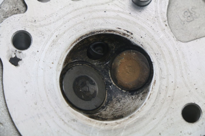 photo de KOPPELINGSHUIS LONGJIA DIGITA 4T 50 (2019 - 2022) - Alternatieve hoek