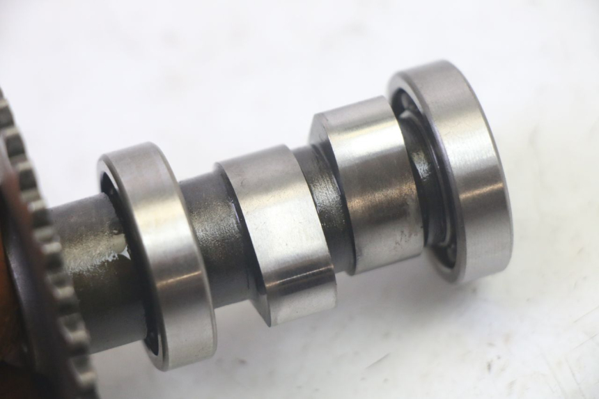 photo de KOPPELINGSHUIS LONGJIA DIGITA 4T 50 (2019 - 2022) - Aanvullende foto