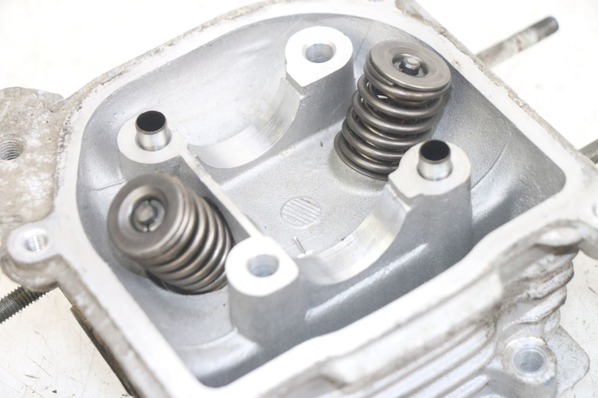 photo de KOPPELINGSHUIS JM MOTORS EVOLIS 4T 50 (2018 - 2022) - Alternatieve hoek