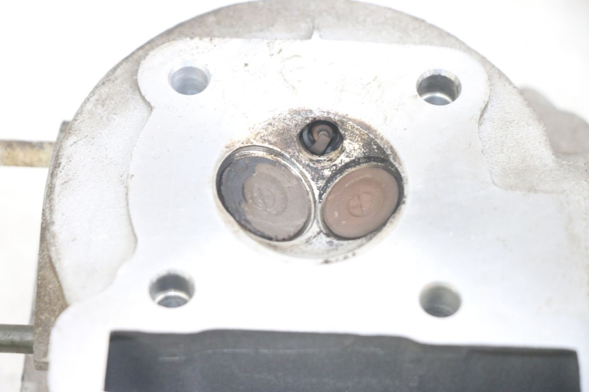 photo de KOPPELINGSHUIS JM MOTORS EVOLIS 4T 50 (2018 - 2022) - Overzicht