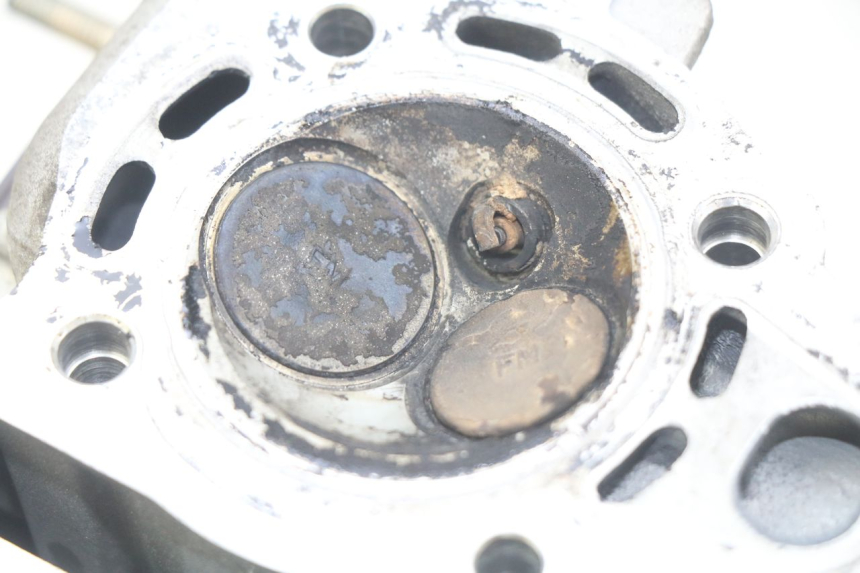 photo de KOPPELINGSHUIS HONDA NHX LEAD 110 (2008 - 2010) - Overzicht