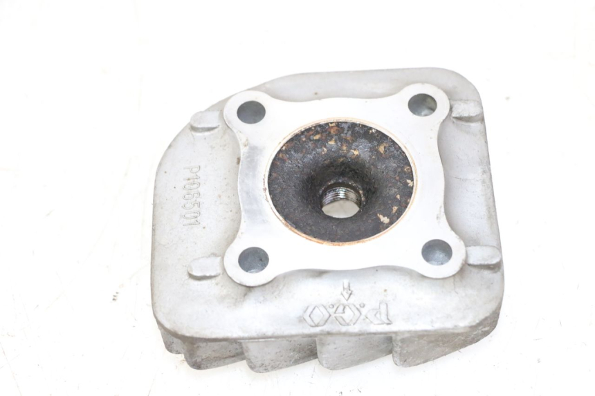 photo de KOPPELINGSHUIS PGO RODOSHOW 2T 50 (2003 - 2007) - Zoom op gebruiksstaat