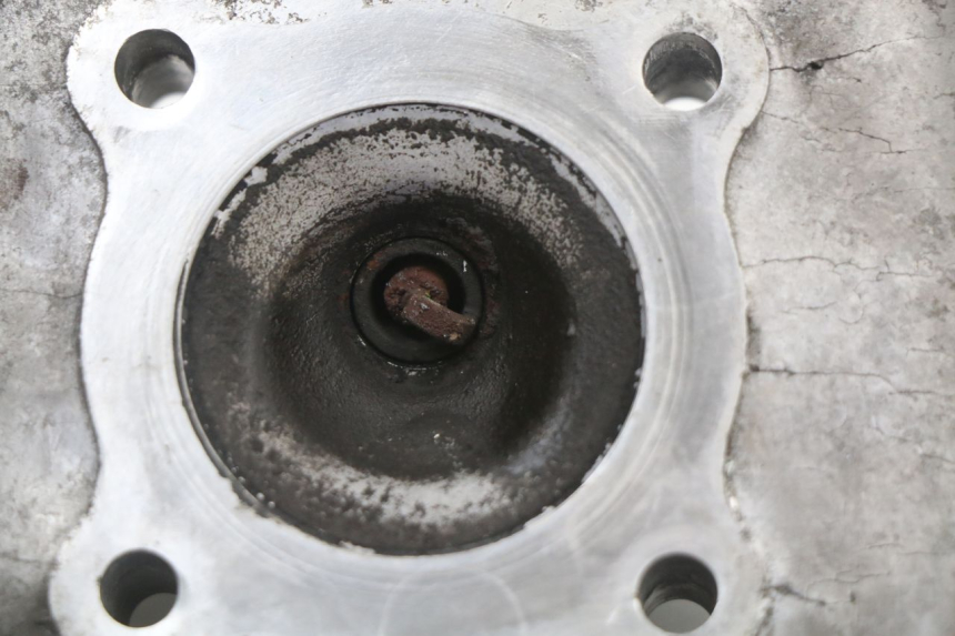 photo de KOPPELINGSHUIS PEUGEOT STREETZONE 2T 50 (2014 - 2019) - Staat van het oppervlak