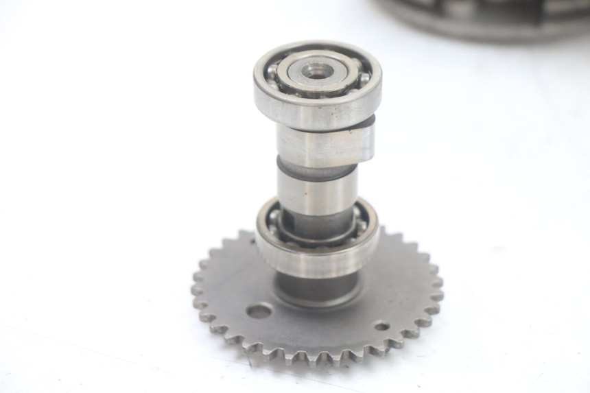 photo de KOPPELINGDEKSEL TNT MOTOR ROMA 10' 4T 50 (2019 - 2022) - Kenmerkende details