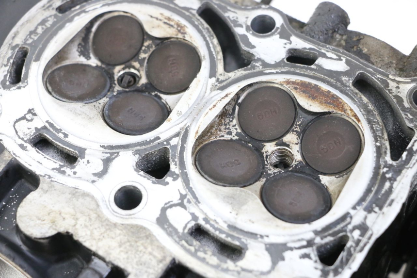 photo de KOPPELINGSHUIS YAMAHA FZS FAZER 600 (2001 - 2003) - Technische close-up