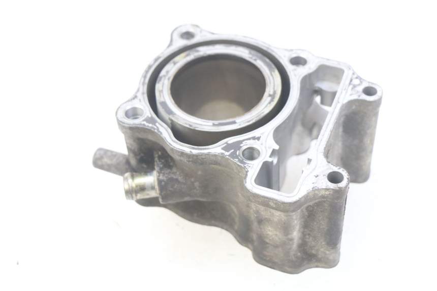 photo de CILINDER HONDA FES PANTHEON 125 (2003 - 2007) - Hoofdaanzicht