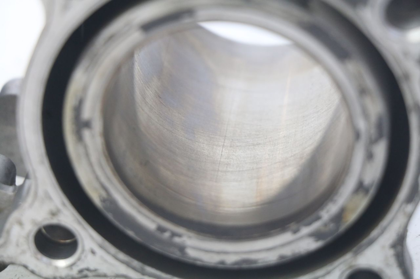 photo de CILINDER HONDA FES PANTHEON 125 (2003 - 2007) - Technische close-up