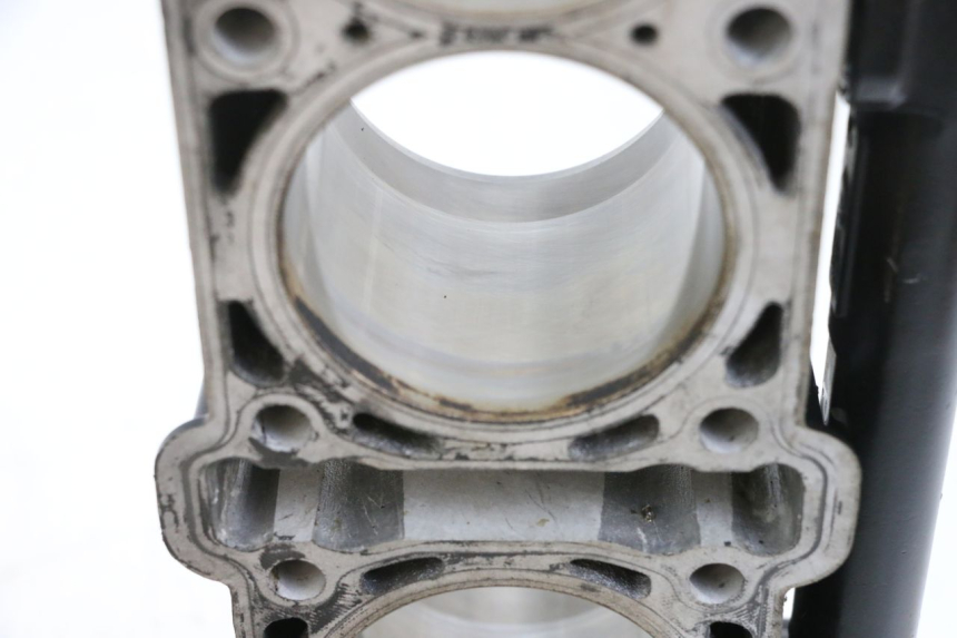 photo de CILINDER ZUIGER MV AGUSTA BRUTALE R WALLY 910 (2008 - 2008) - Kenmerkende details